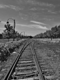 Lignes de partage. Montréal - Black and blanc
