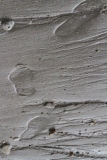Pas à pas : une plage - Black and blanc