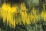 Reflets - Jeux d'eau