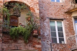 Windows Lucca - Windows