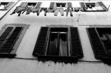 Windows Riomaggiore - Windows
