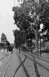 lignes noires - Nantes