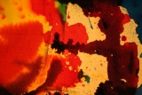 poing in her faces - 13 novembre 2015
