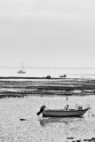 voguent  et vagues - Ile de Ré