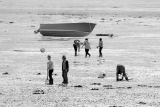 pas vu pas pris ! - Ile de Ré