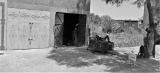 pfouf - MAROKO